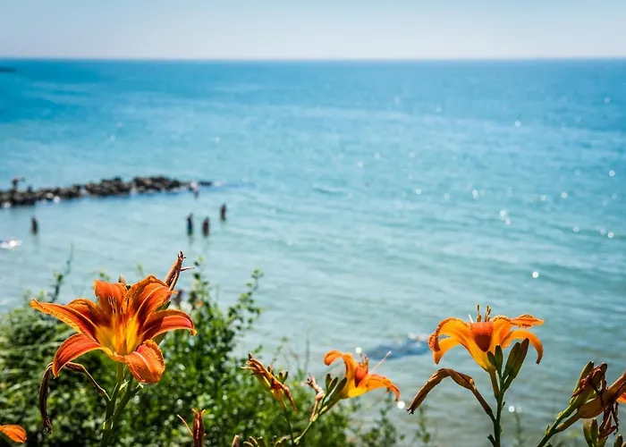 Sunny Beach Luxury Resorts